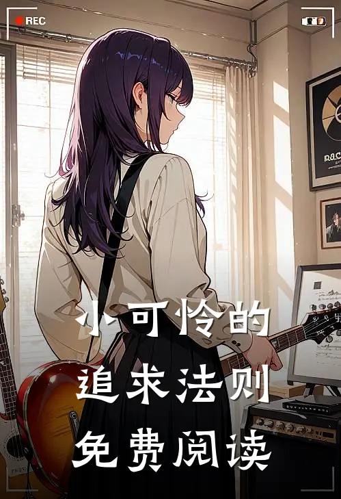 小可怜的追求法则免费阅读